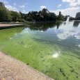 IMG 424 Lac de Creteil