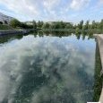 IMG 277 Lac de Creteil