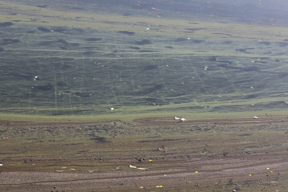 Constatation effectuée au lac de Créteil en juillet 2018 (5) ©Collectif du lac de Créteil