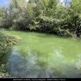 IMG 131 Lac de Creteil