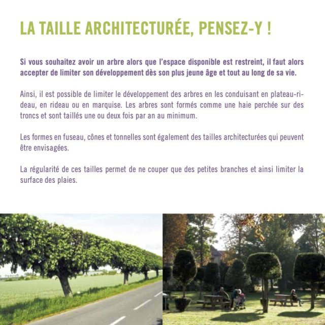 2021 plaquetteSFA7