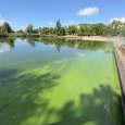 IMG 451 Lac de Creteil