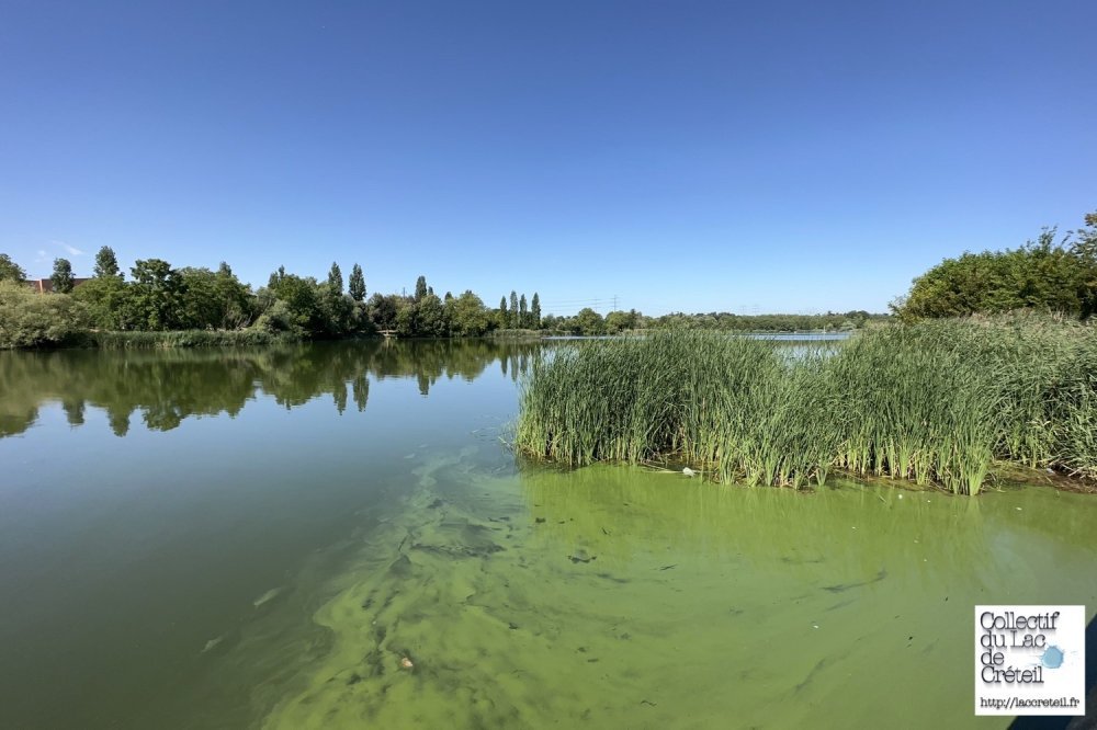  IMG 082 Lac de Creteil
