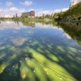 IMG 476 Lac de Creteil