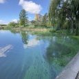 IMG 470 Lac de Creteil