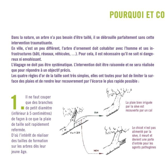 2021 plaquetteSFA5