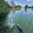 IMG 466 Lac de Creteil