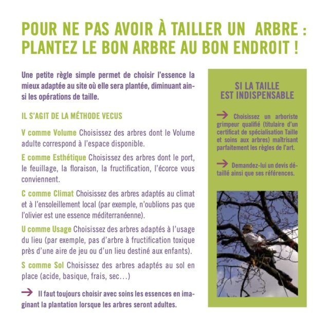 2021 plaquetteSFA4