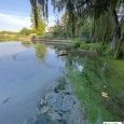 IMG 310 Lac de Creteil