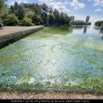 IMG 431 Lac de Creteil