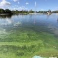 IMG 299 Lac de Creteil