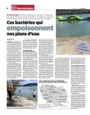 Ces bactéries qui empoisonnent nos plans d'eau