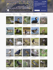 Biodiversité du Lac de Créteil et de ses abords - Vue d'ensemble des espèces au 20 septembre 2025.