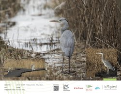 Bâche N°19 - JPEG - 472.5 ko - 1606×1240 px