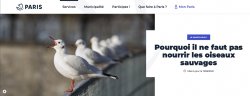Pourquoi il ne faut pas nourrir les oiseaux sauvages - Ville de PARIS - Mise à jour le 11/06/2021