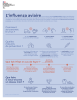 Infographie - Influenza aviaire : les informations essentielles