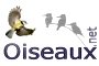 Oiseaux.net